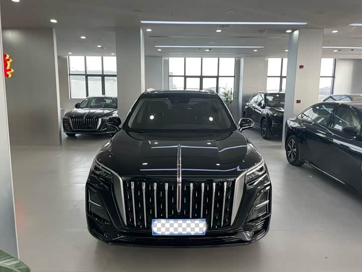 Фото 2 - Hongqi HS5