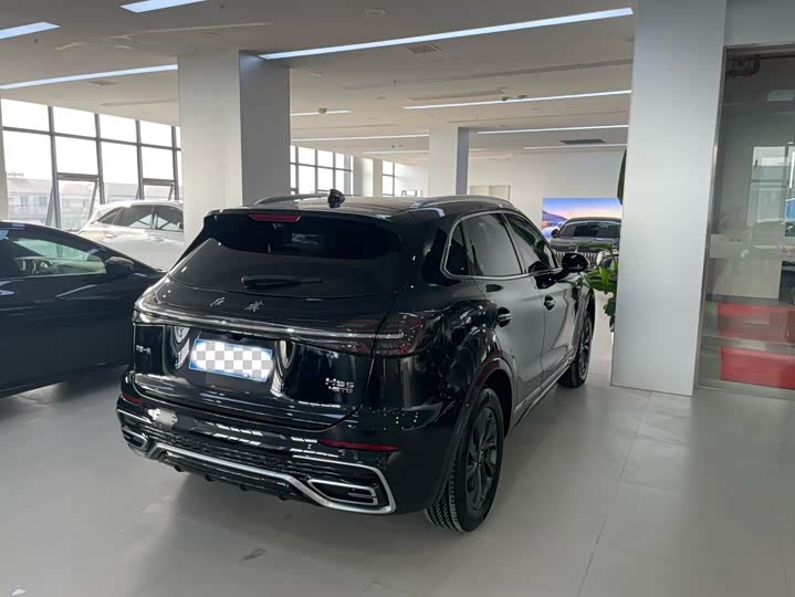 Фото 3 - Hongqi HS5