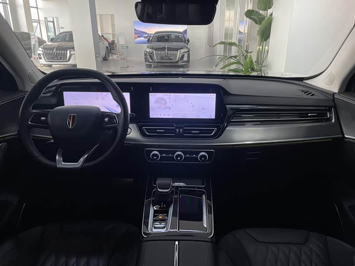 Фото 6 - Hongqi HS5