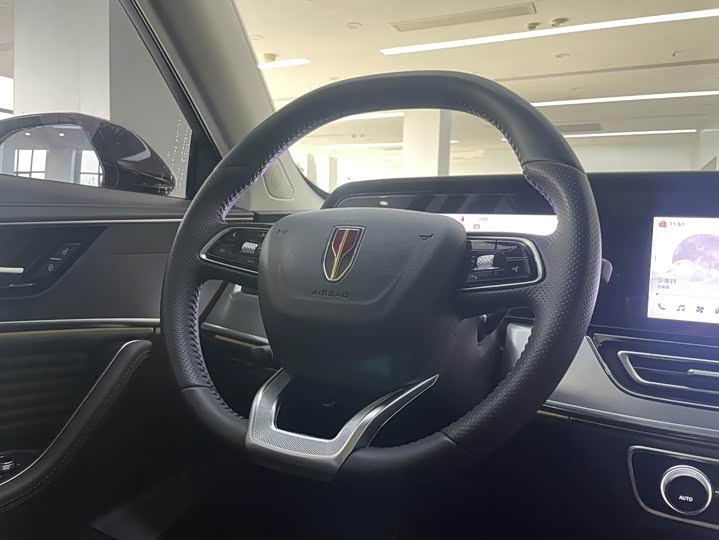 Фото 7 - Hongqi HS5