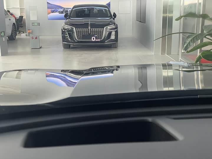 Фото 8 - Hongqi HS5