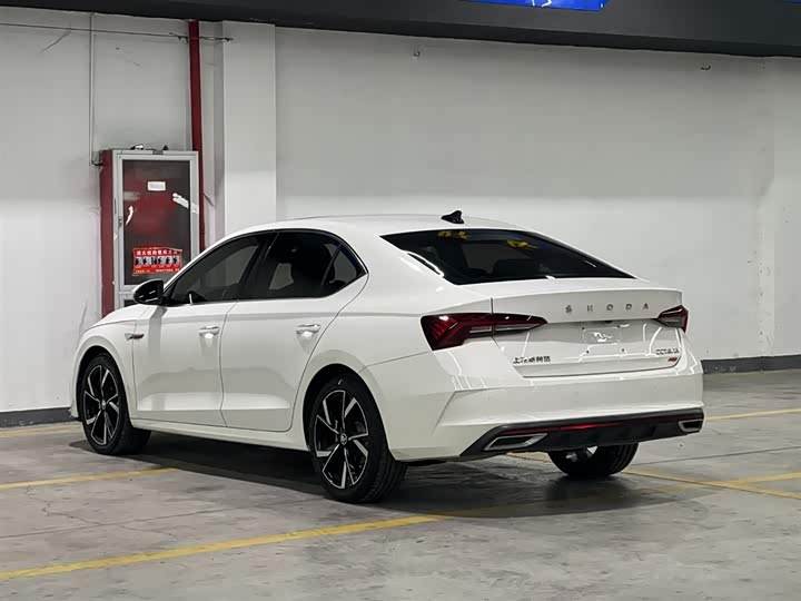 Фото 4 - Skoda Octavia Pro