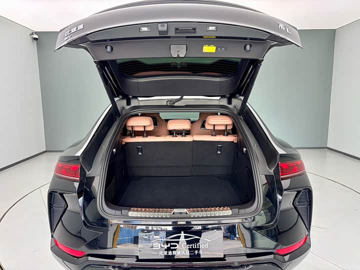 Фото 7 - BYD Song L