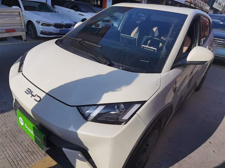 Фото 2 - BYD Seagull