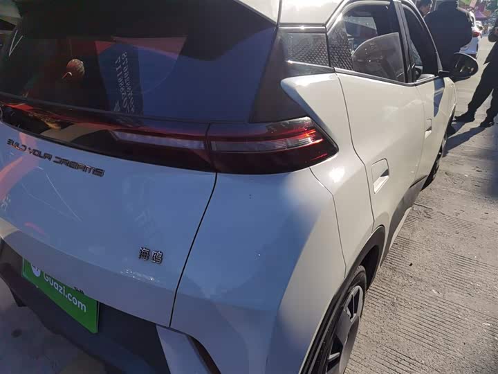 Фото 8 - BYD Seagull