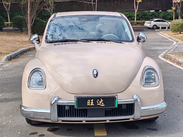 Photo 3 - Ora Ballet Cat