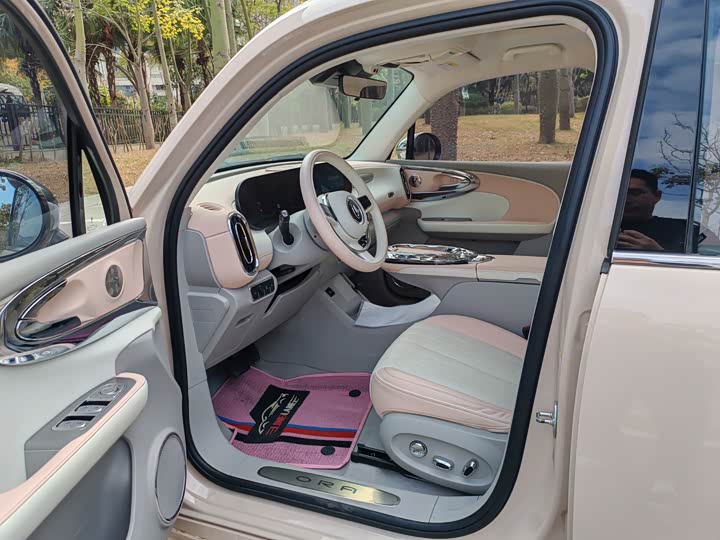 Photo 5 - Ora Ballet Cat