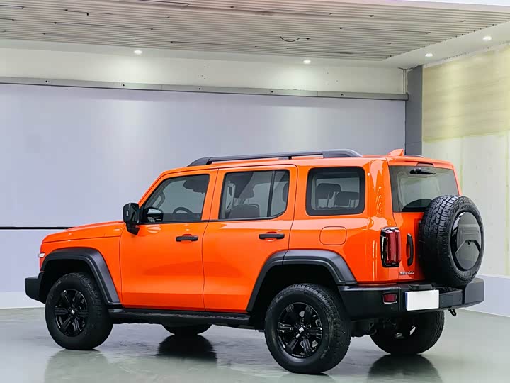 Фото 4 - Tank 300