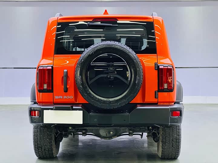 Фото 5 - Tank 300