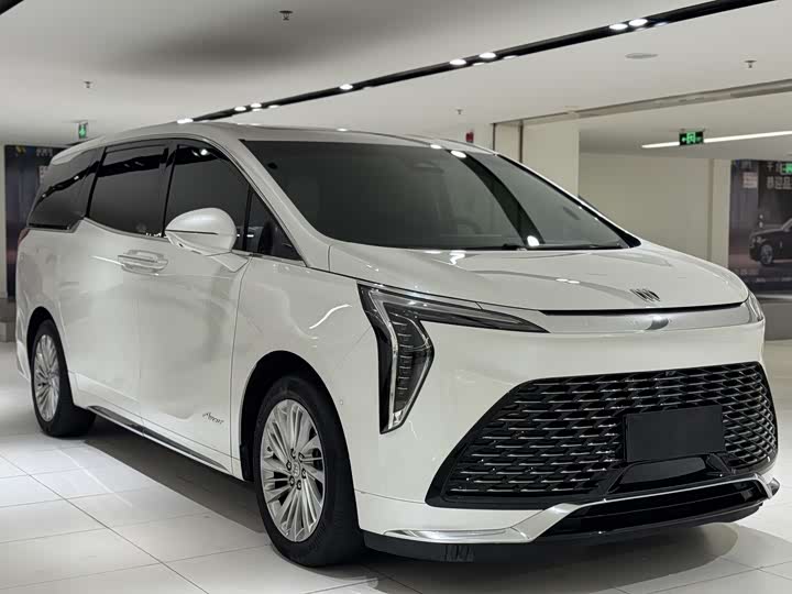 Фото 3 - Buick GL8 Century