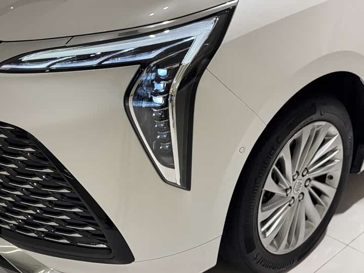 Фото 8 - Buick GL8 Century