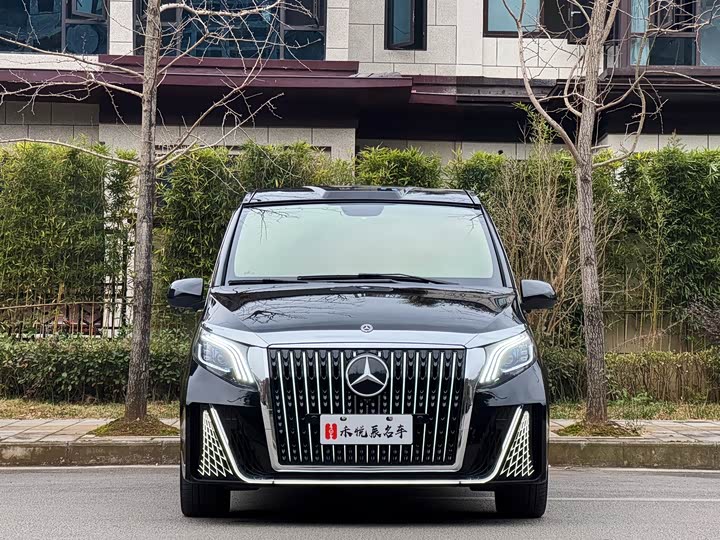 Фото 2 - Mercedes-Benz Vito