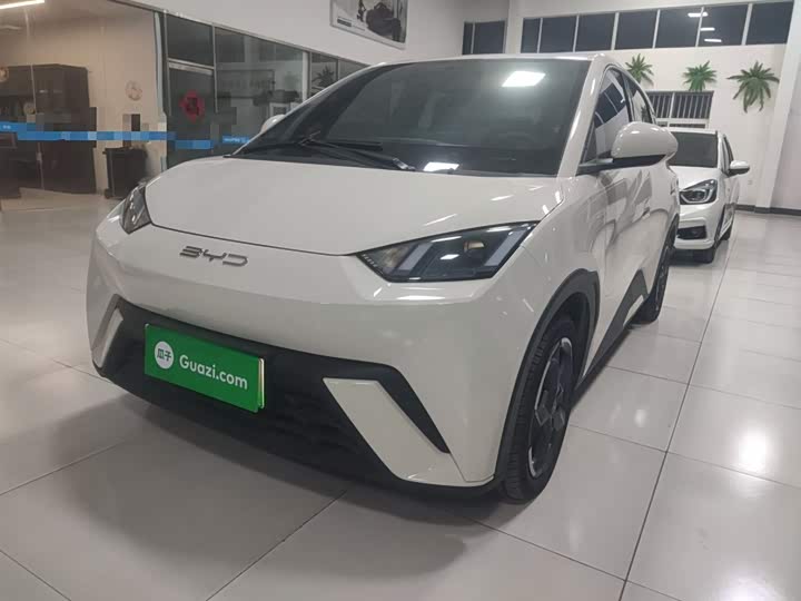 Фото 2 - BYD Seagull