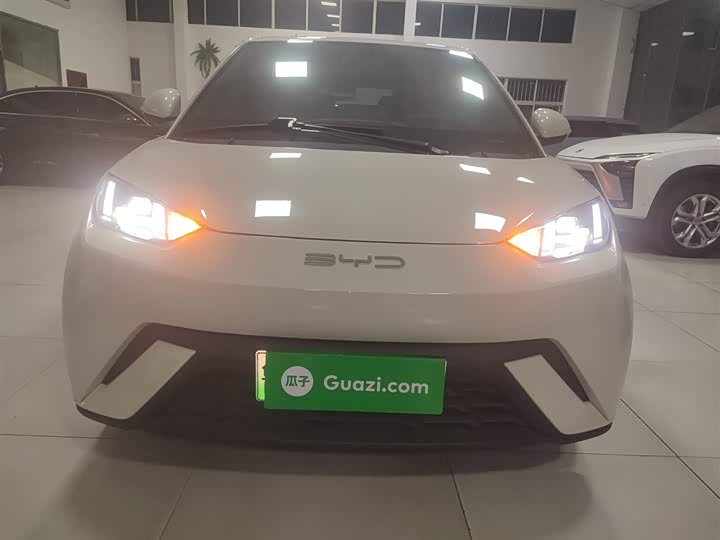 Фото 3 - BYD Seagull