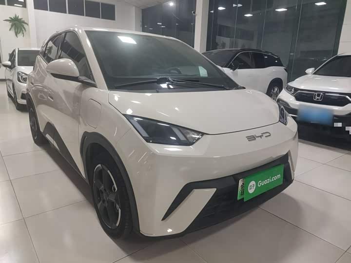 Фото 4 - BYD Seagull