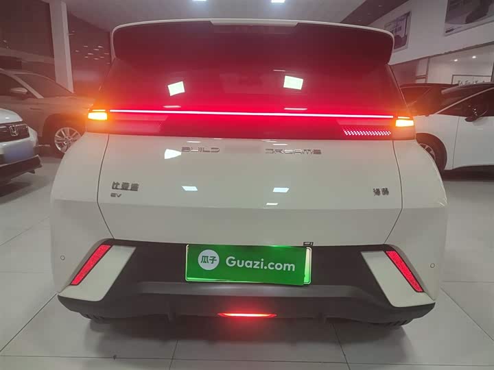 Фото 6 - BYD Seagull