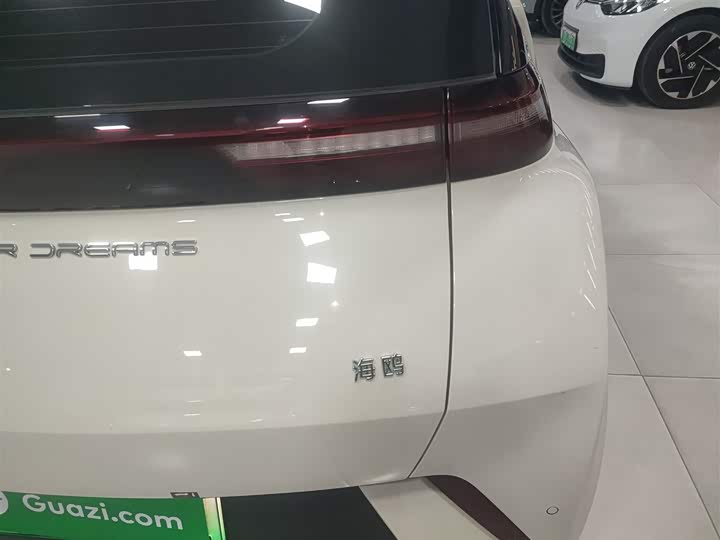 Фото 8 - BYD Seagull