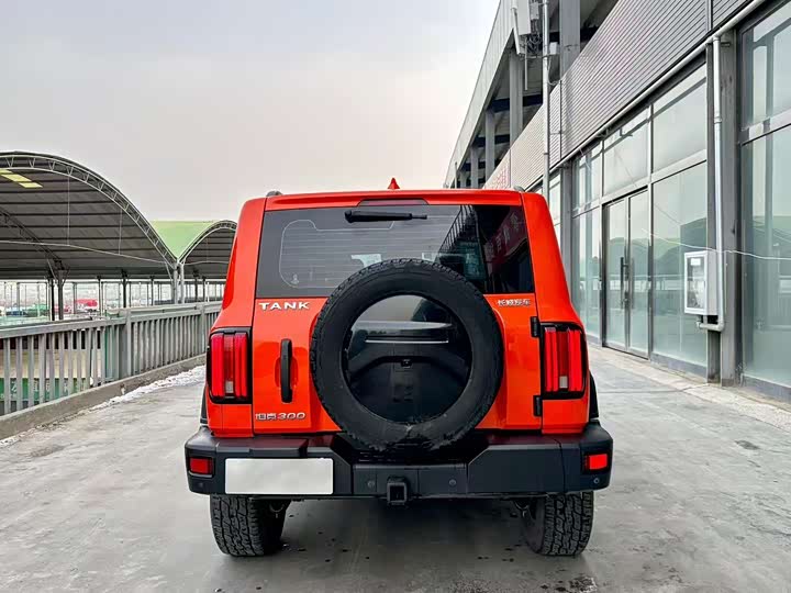 Фото 5 - Tank 300