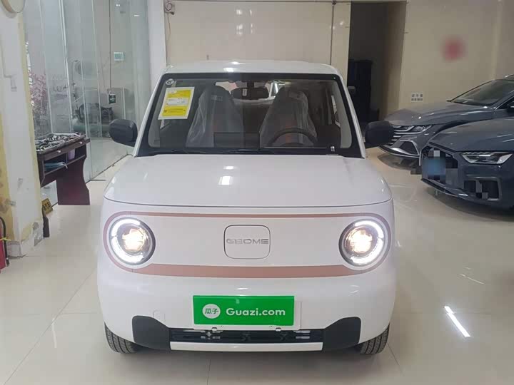 Фото 3 - Geely Galaxy Panda Mini