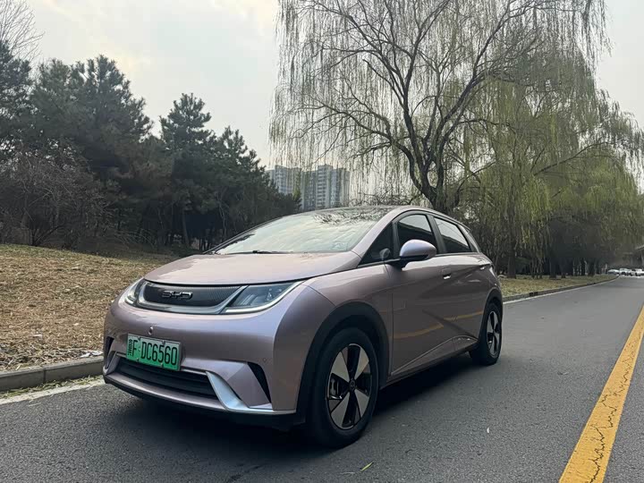 Фото 1 - BYD Dolphin