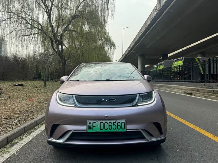 Фото 2 - BYD Dolphin