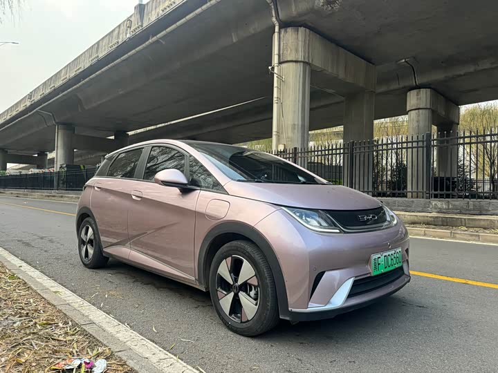 Фото 3 - BYD Dolphin