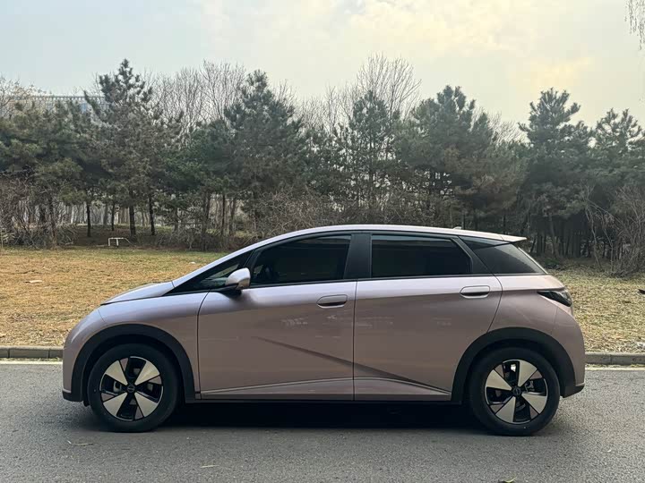 Фото 4 - BYD Dolphin