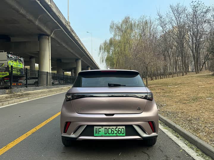 Фото 7 - BYD Dolphin