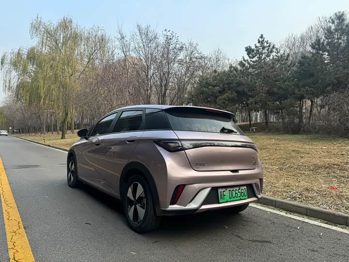 Фото 8 - BYD Dolphin