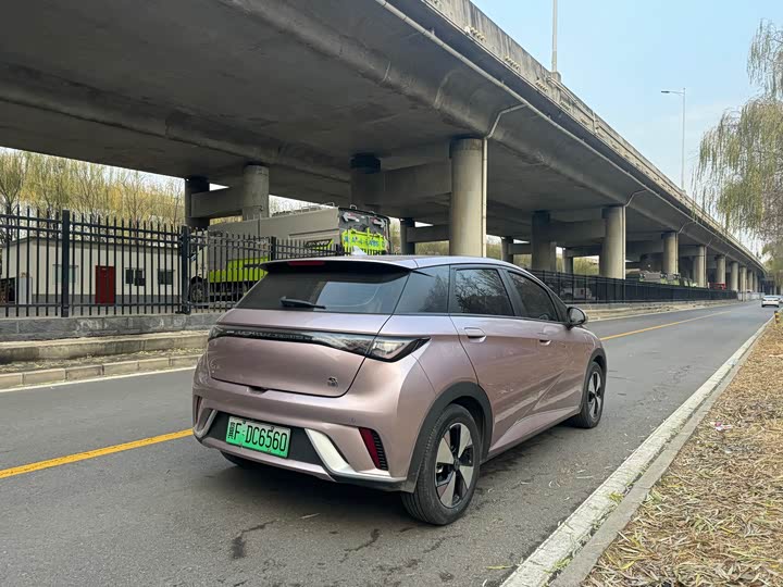 Фото 9 - BYD Dolphin