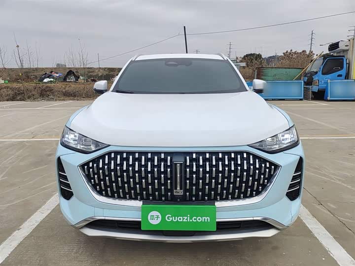 Фото 3 - Wey Mocha