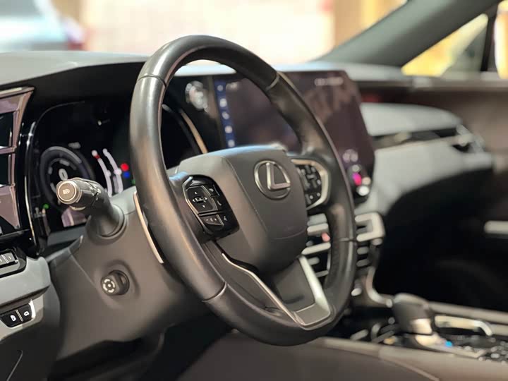 Фото 9 - Lexus RX