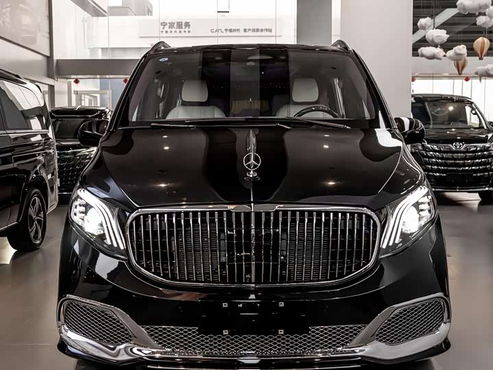 Фото 2 - Mercedes-Benz Vito