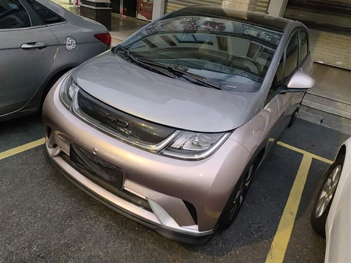 Фото 1 - BYD Dolphin