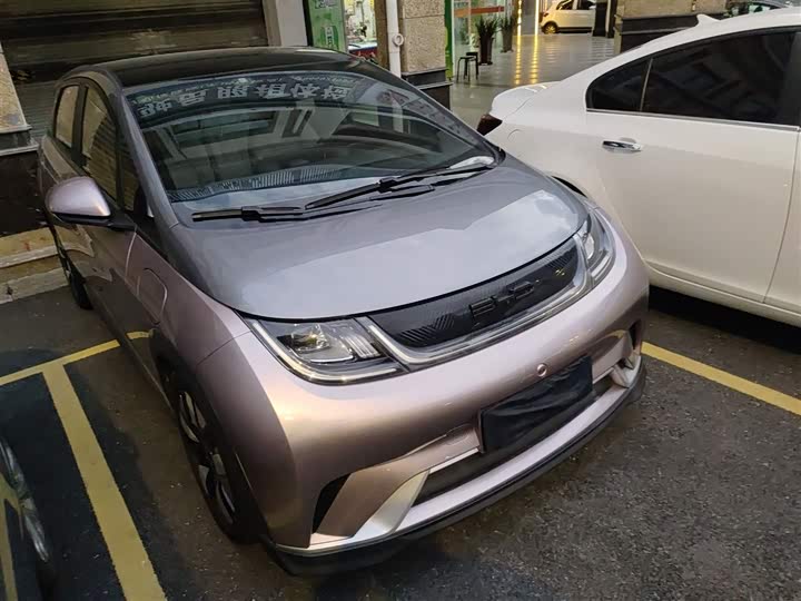 Фото 4 - BYD Dolphin