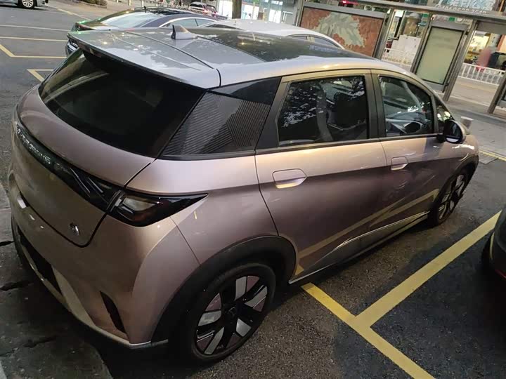 Фото 7 - BYD Dolphin