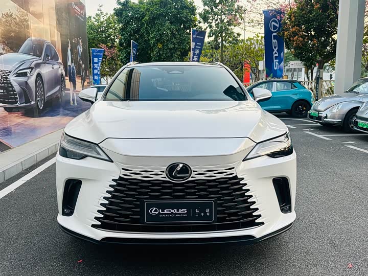 Фото 2 - Lexus RX