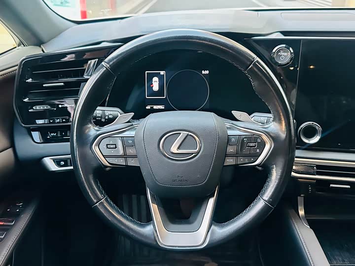 Фото 7 - Lexus RX