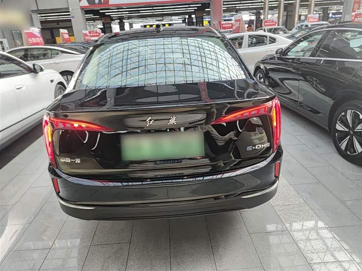 Фото 6 - Hongqi E-QM5