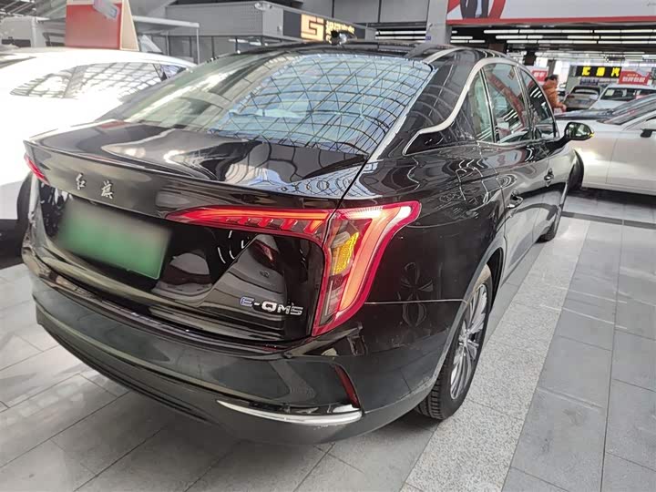 Фото 7 - Hongqi E-QM5