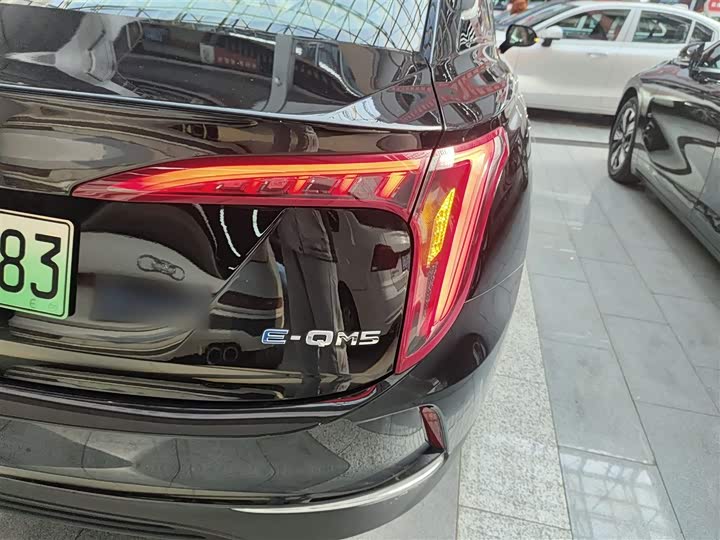 Фото 8 - Hongqi E-QM5