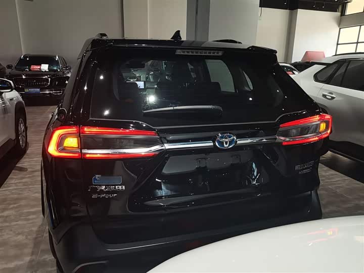 Фото 6 - Toyota Wildlander