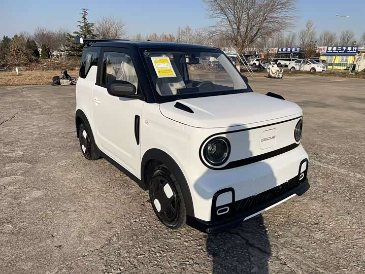 Фото 3 - Geely Galaxy Panda Mini