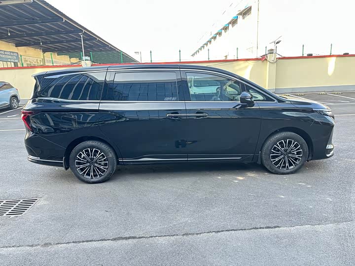 Фото 4 - Dongfeng Forthing Xinghai V9