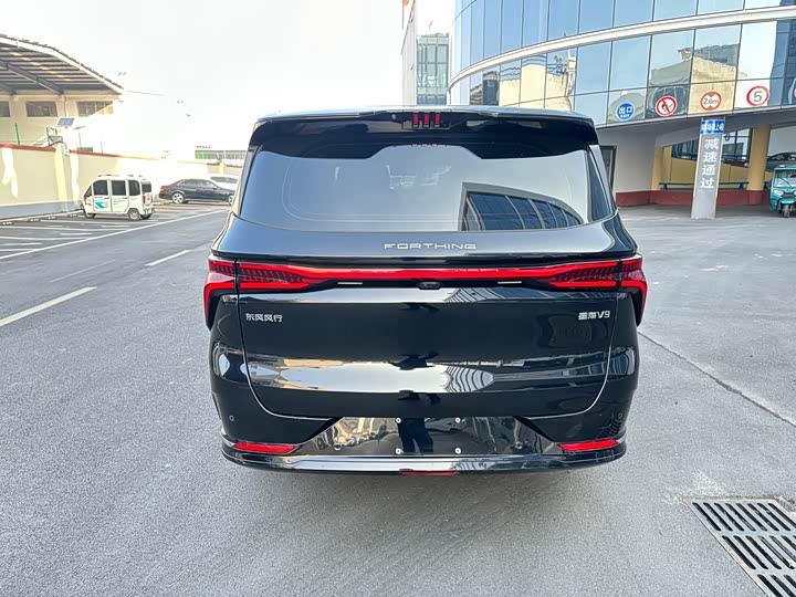 Фото 6 - Dongfeng Forthing Xinghai V9