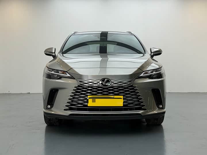 Фото 2 - Lexus RX