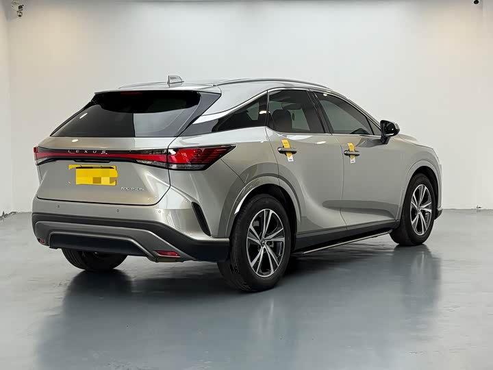 Фото 4 - Lexus RX