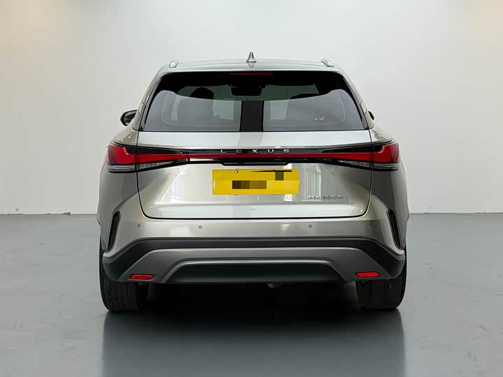 Фото 5 - Lexus RX