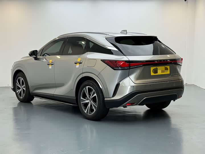 Фото 6 - Lexus RX