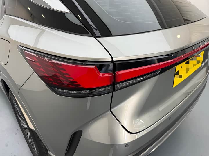 Фото 8 - Lexus RX